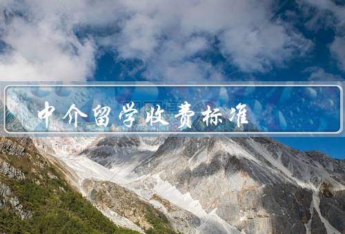 中介留学收费标准，服务费用／申请费用／其他费用
