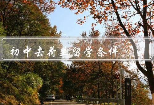 初中去荷兰留学条件（学术成绩优秀、语言能力良好、经济状况稳定）