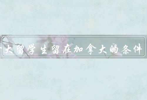 加拿大留学生留在加拿大的条件（学业表现、工作机会、移民政策）