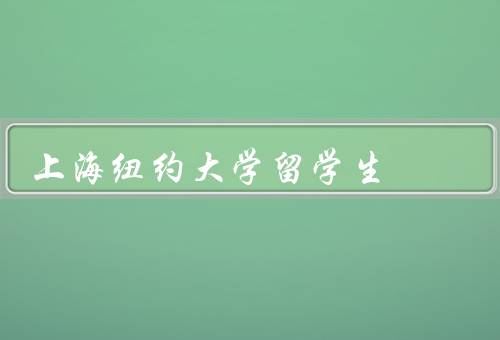 上海纽约大学留学生（数量、支持、经验）