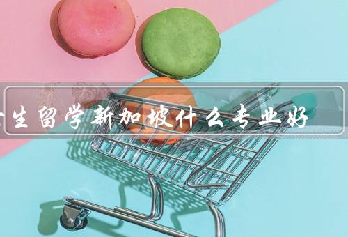 女生留学新加坡什么专业好，商科、工程专业、医学与护理