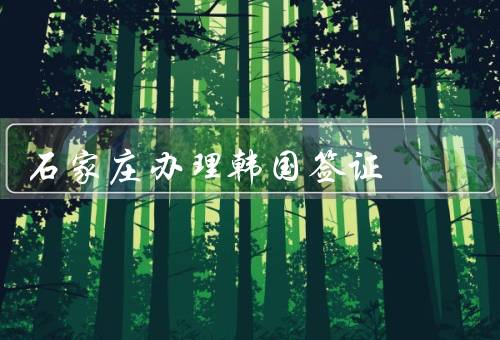 石家庄办理韩国签证，类型／申请材料／办理流程