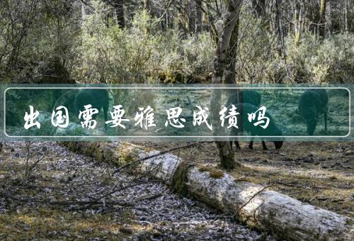 出国需要雅思成绩吗，出国留学必备条件／重要性／备考建议