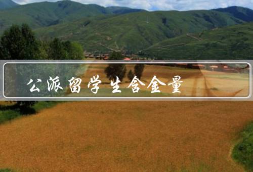 公派留学生含金量（学历认可、学术水平、实践经验）