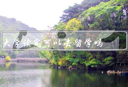 大学读完可以去留学吗，优势／挑战／是否去决策