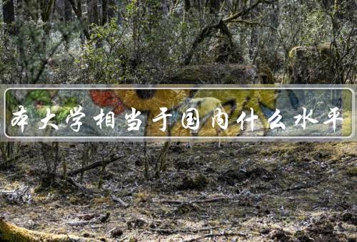 墨尔本大学相当于国内什么水平，学术实力、国际化程度、校园环境