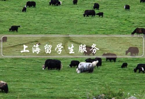 上海留学生服务中心电话，电话／使用电话的注意事项／其他联系方式