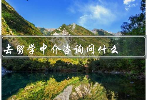 去留学中介咨询问什么（中介机构的背景和资质、留学项目和费用）