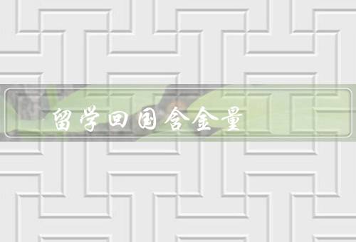 俄罗斯留学回国含金量，留学经历的独特性、专业对口的优势