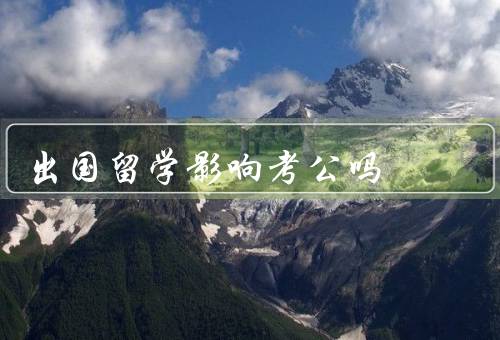 出国留学影响考公吗，语言能力／拓宽思维视野／跨文化交流能力