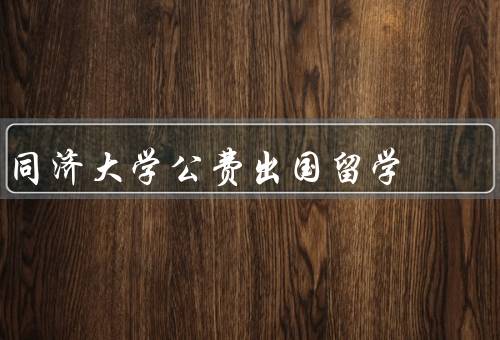 同济大学公费出国留学（学术交流与合作、文化交流与体验）