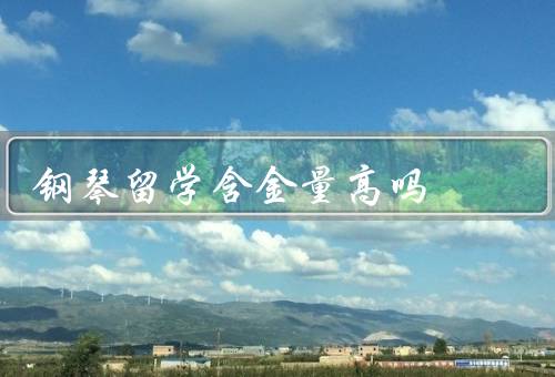 俄罗斯钢琴留学含金量高吗，教育体系、师资力量、学习环境