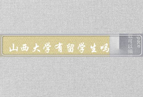 山西大学有留学生吗（数量、类别、支持与服务）