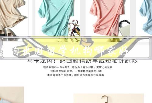 咨询出国留学机构哪家好，选择正规机构、考察机构的服务内容