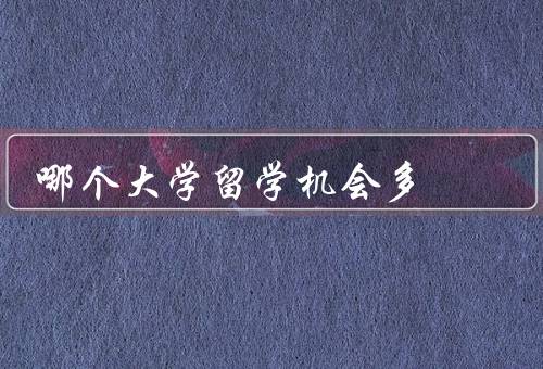 哪个大学留学机会多，世界知名大学／合作院校众多的大学