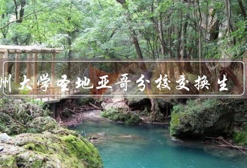 加州大学圣地亚哥分校交换生，学术氛围浓厚、多元文化交流