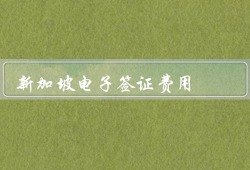 新加坡电子签证费用，电子签证申请费／其他费用／支付方式