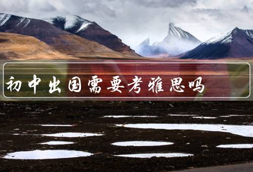 初中出国需要考雅思吗（是否需要考雅思／雅思考试的重要性）