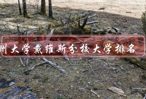 加州大学戴维斯分校大学排名