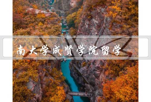 东南大学成贤学院留学，留学项目／国际化课程／跨文化交流