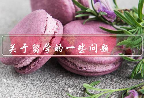 关于留学的一些问题（文化冲击／学术压力／社交困难）