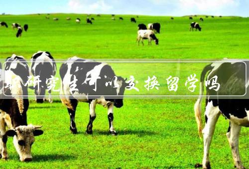 在职研究生可以交换留学吗（挑战／机会／如何解决问题）
