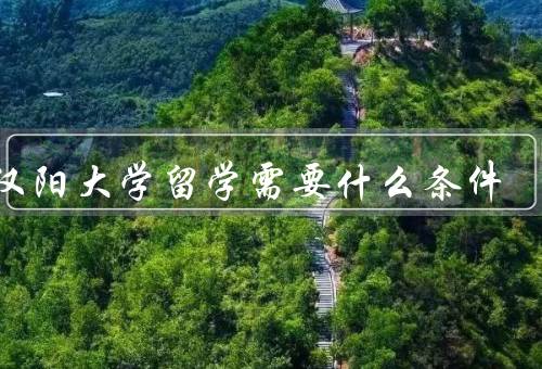 去汉阳大学留学需要什么条件，申请条件／语言要求／经济能力