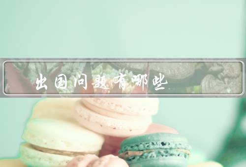 出国留学咨询问题有哪些（留学签证／学校申请／语言能力）