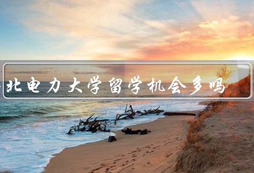 华北电力大学留学机会多吗，学术交流机会、留学项目丰富