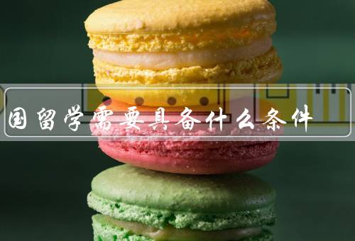 出国留学需要具备什么条件，语言能力、学术能力、经济能力