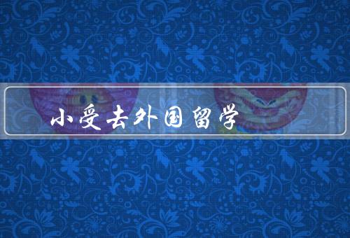 小受去外国留学，留学准备／跨文化交流／学术成长