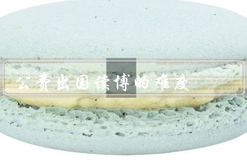 公费出国读博的难度（申请准备、选拔过程、留学生活）