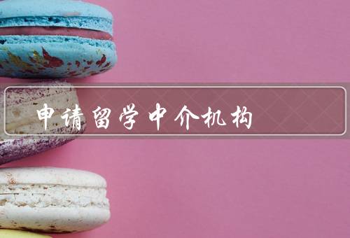 申请留学中介机构，留学规划／申请材料准备／签证申请
