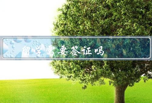 留学需要签证吗，定义、各国政策、重要性
