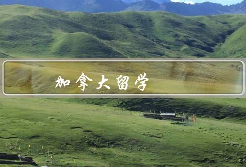 加拿大留学专科，丰富的专业选择／实践机会丰富／良好的就业前景