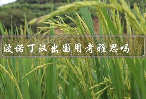 宁波诺丁汉出国用考雅思吗（要求、雅思考试作用、英语培训）
