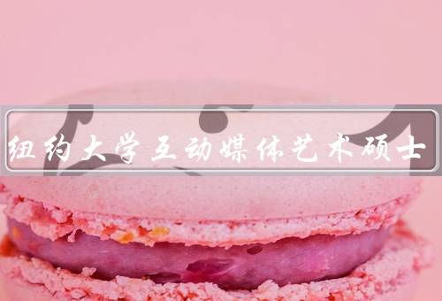 上海纽约大学互动媒体艺术硕士，跨学科教学、实践机会、国际化教育