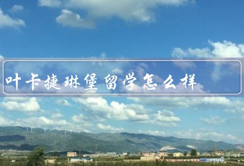 叶卡捷琳堡留学怎么样，丰富的教育资源／良好的学习环境