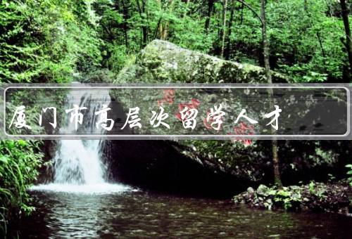 厦门市高层次留学人才，数量、贡献、支持政策
