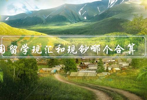 出国留学现汇和现钞哪个合算，手续费、安全性、汇率波动