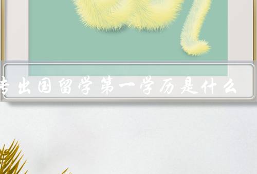 中专出国留学第一学历是什么（学历对于留学的影响）