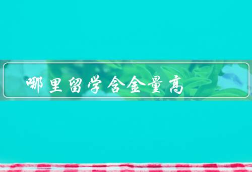 哪里留学含金量高，学术资源丰富／就业机会广泛／生活品质高