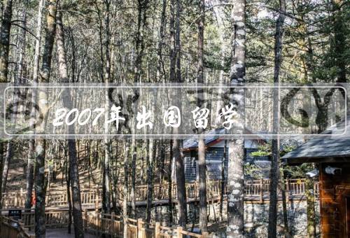 2007年出国留学（中国学生出国的原因、目的地的选择）