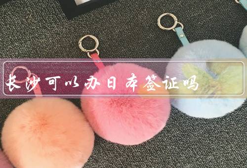 长沙可以办日本签证吗，办理日本签证的途径、日本签证申请所需材料