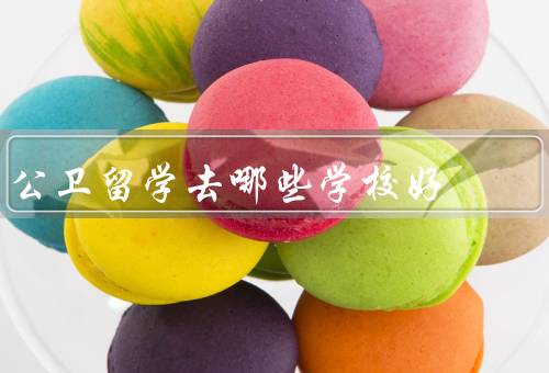 公卫留学去哪些学校好，哈佛大学／伦敦大学学院／墨尔本大学
