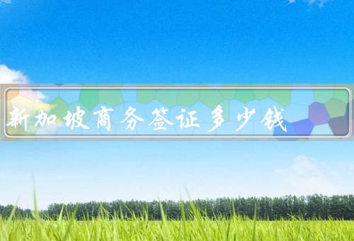 新加坡商务签证多少钱，申请费、服务费、其他费用