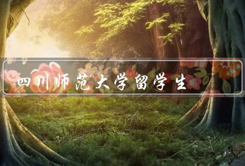 四川师范大学留学生，数量／教育／支持