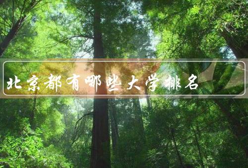 北京都有哪些大学排名