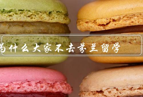 为什么大家不去芬兰留学