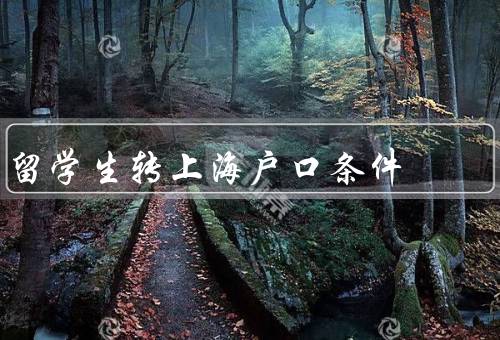 留学生转上海户口条件